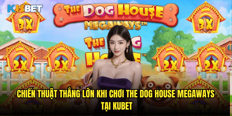 Chiến Thuật Thắng Lớn Khi Chơi The Dog House Megaways Tại Kubet